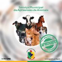 APROVADA A PROPOSTA QUE DETERMINA O RECOLHIMENTO DE ANIMAIS SOLTOS EM GUAÍRA