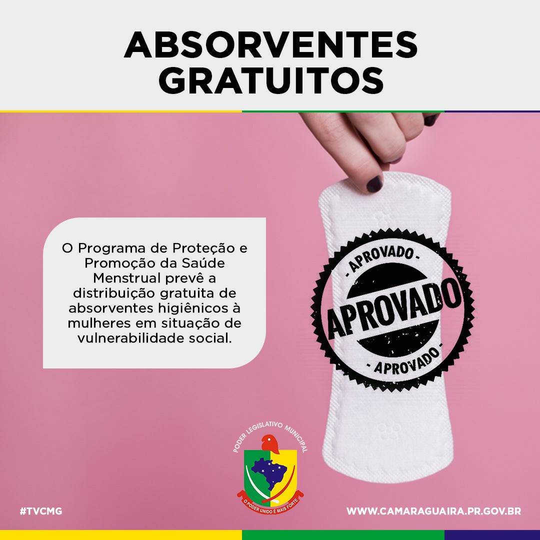 CÂMARA APROVA DISTRIBUIÇÃO DE ABSORVENTES PARA MULHERES DE BAIXA RENDA