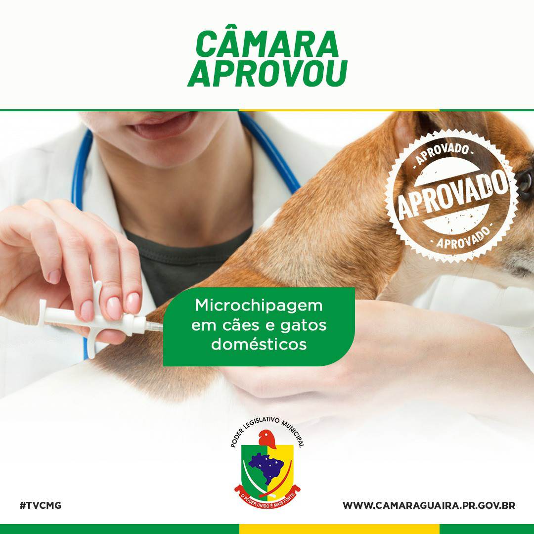 CÂMARA VOTOU POR MICROCHIP PARA COMBATER ANIMAIS PERDIDOS E ABANDONADOS