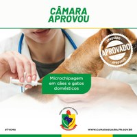 CÂMARA VOTOU POR MICROCHIP PARA COMBATER ANIMAIS PERDIDOS E ABANDONADOS