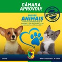 DIA DOS ANIMAIS É APROVADO NA CÂMARA