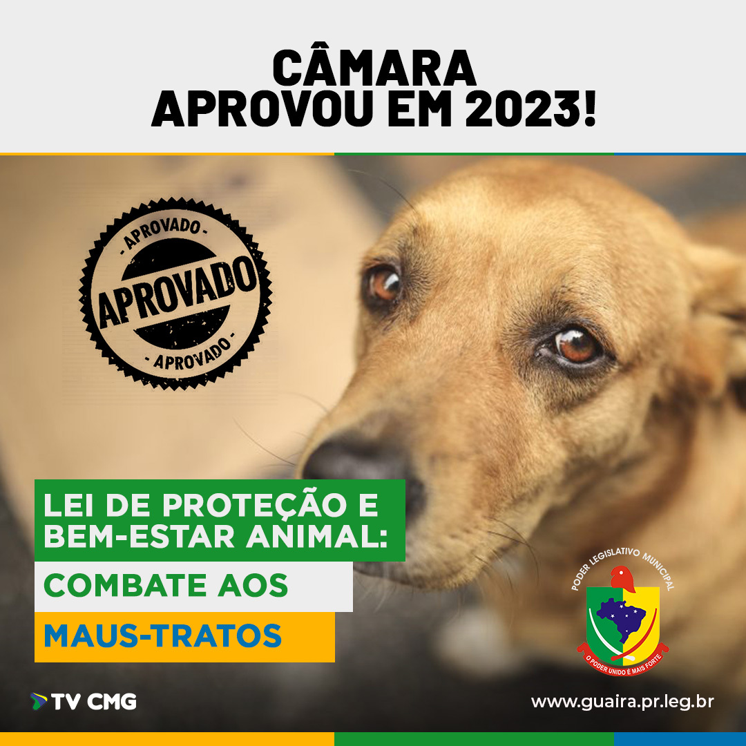 JÁ É LEI NO MUNICÍPIO A RESPONSABILIDADE FINANCEIRA AOS AGRESSORES DE ANIMAIS