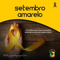 SETEMBRO AMARELO; PROJETO VIDA NAS ESCOLAS